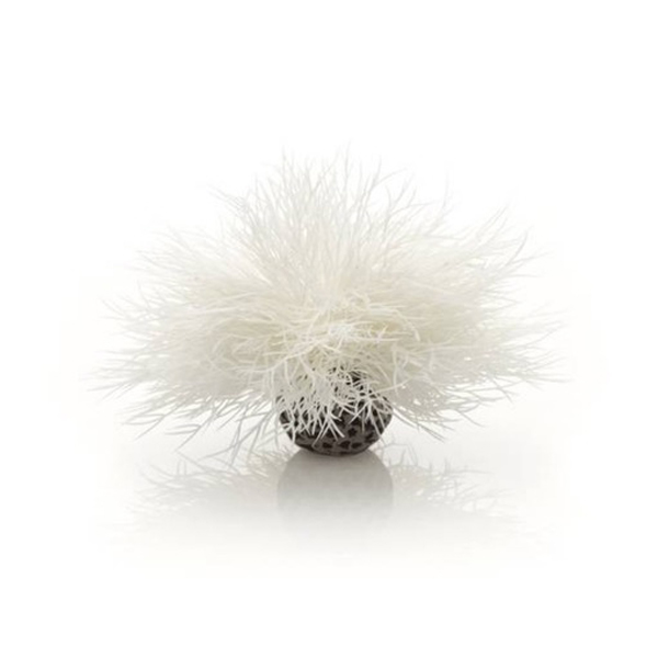Белая морская лилия "BIORB" Aquatic sea lily white