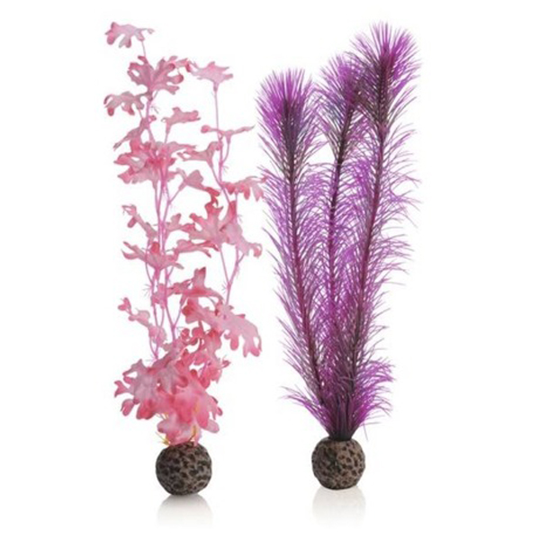 Набор "Средняя розовая ламинария" "BIORB" Kelp set medium pink
