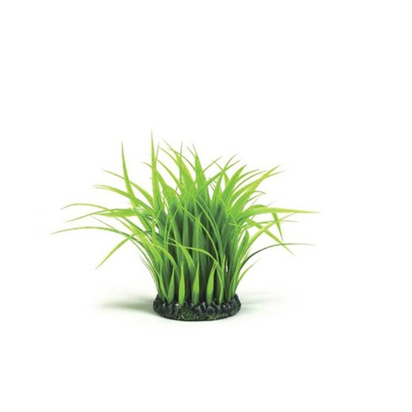 Кольцо с зеленой травой, среднее "BIORB" Grass ring medium green