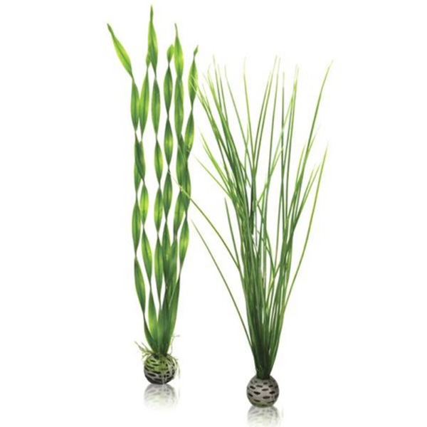 Набор "Высокие, зеленые растения" "BIORB" Easy plant set tall green
