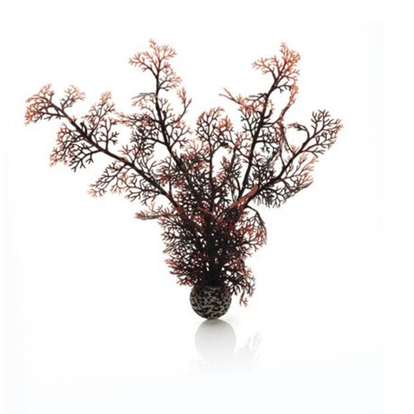 Малиновый морской веер, средний "BIORB" Sea fan medium crimson